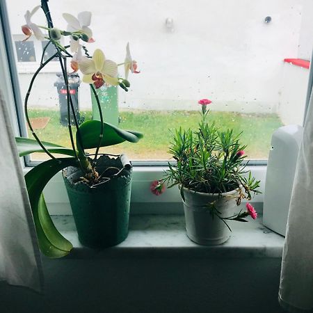La Toskana Apartment Ihr Rueckzugsort Am Regen Zeitlarn Екстер'єр фото