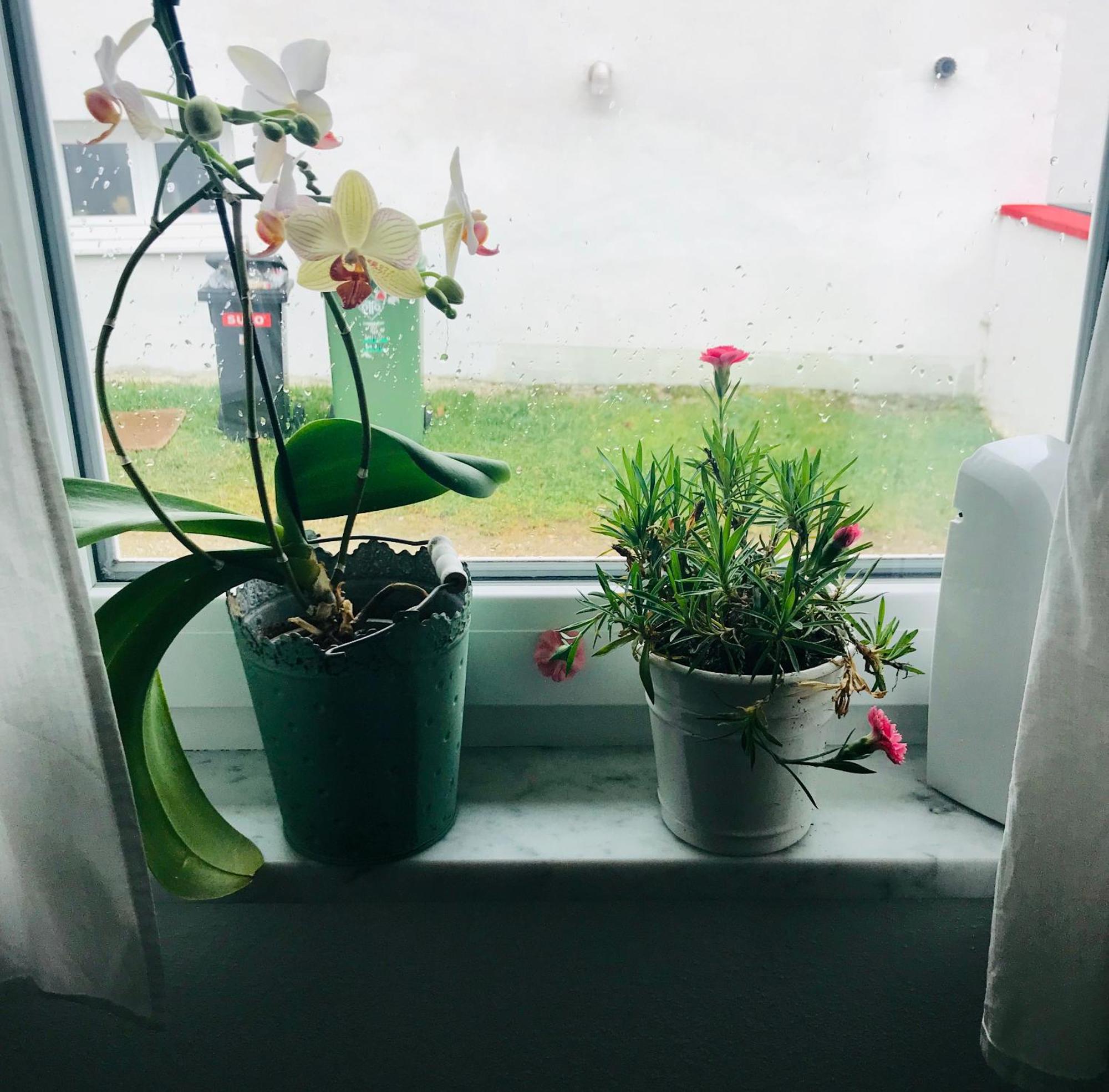 La Toskana Apartment Ihr Rueckzugsort Am Regen Zeitlarn Екстер'єр фото